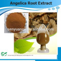 Top-Qualität 100% natürliche Angelica Kräuterextrakt, Angelica Wurzel Extrakt Pulver, Radix Angelicae Dahuricae PE 4: 1 10: 1 20: 1